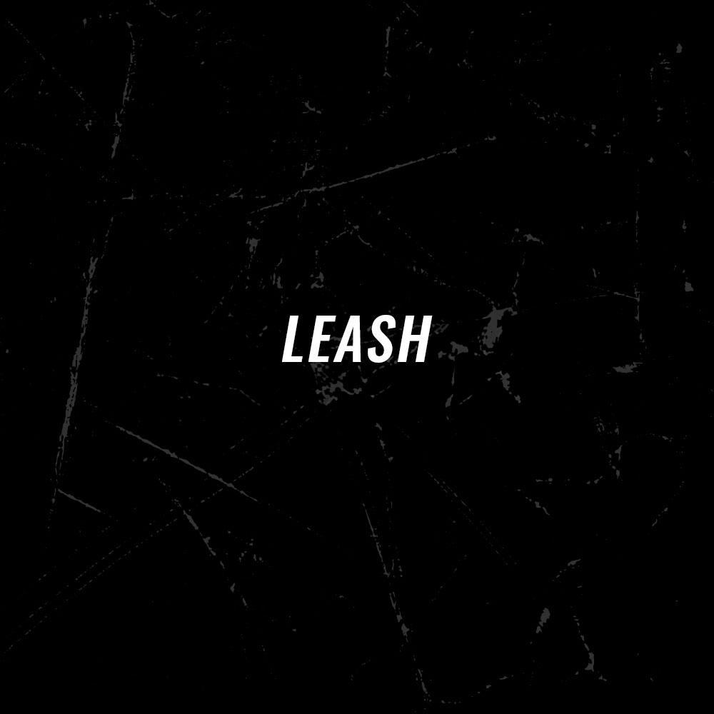 LEASH